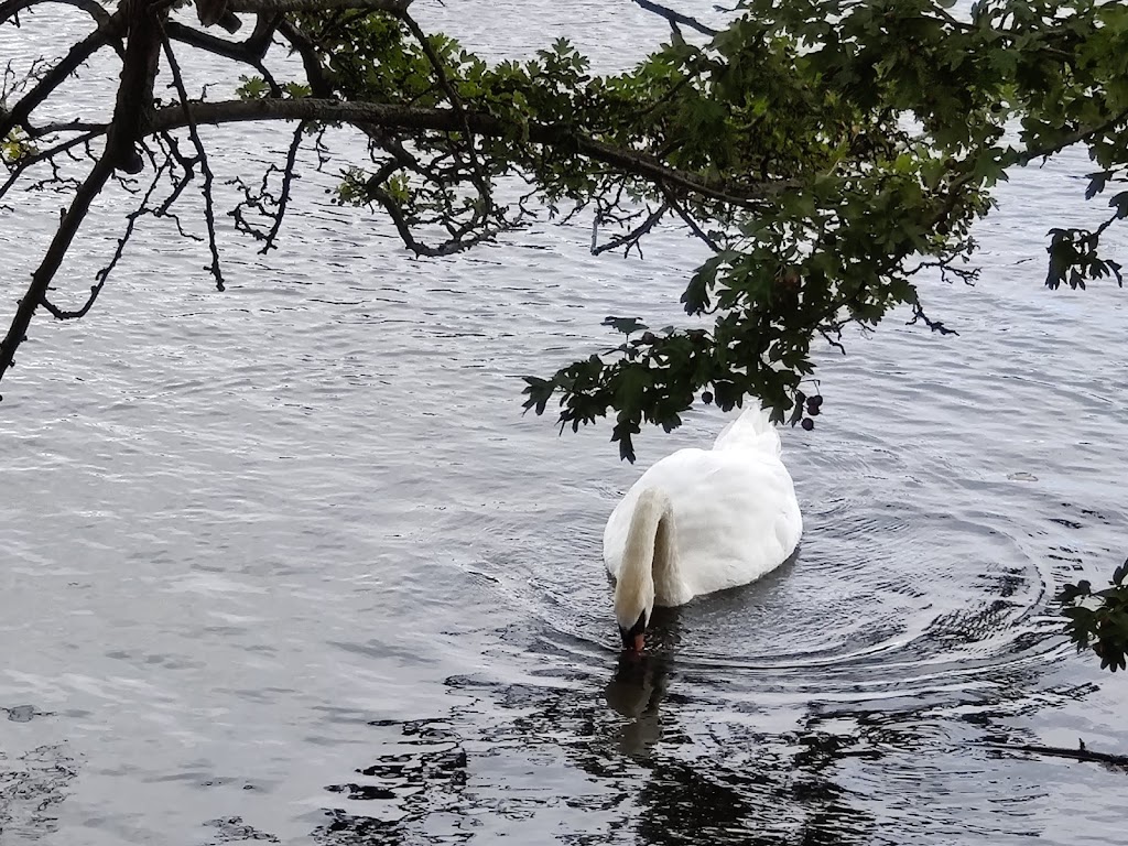 pildammsparken-15.jpeg