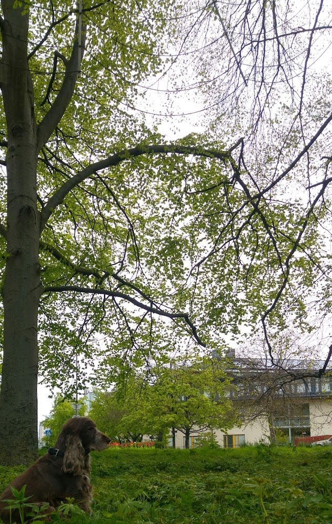 pildammsrondellen-11.jpeg