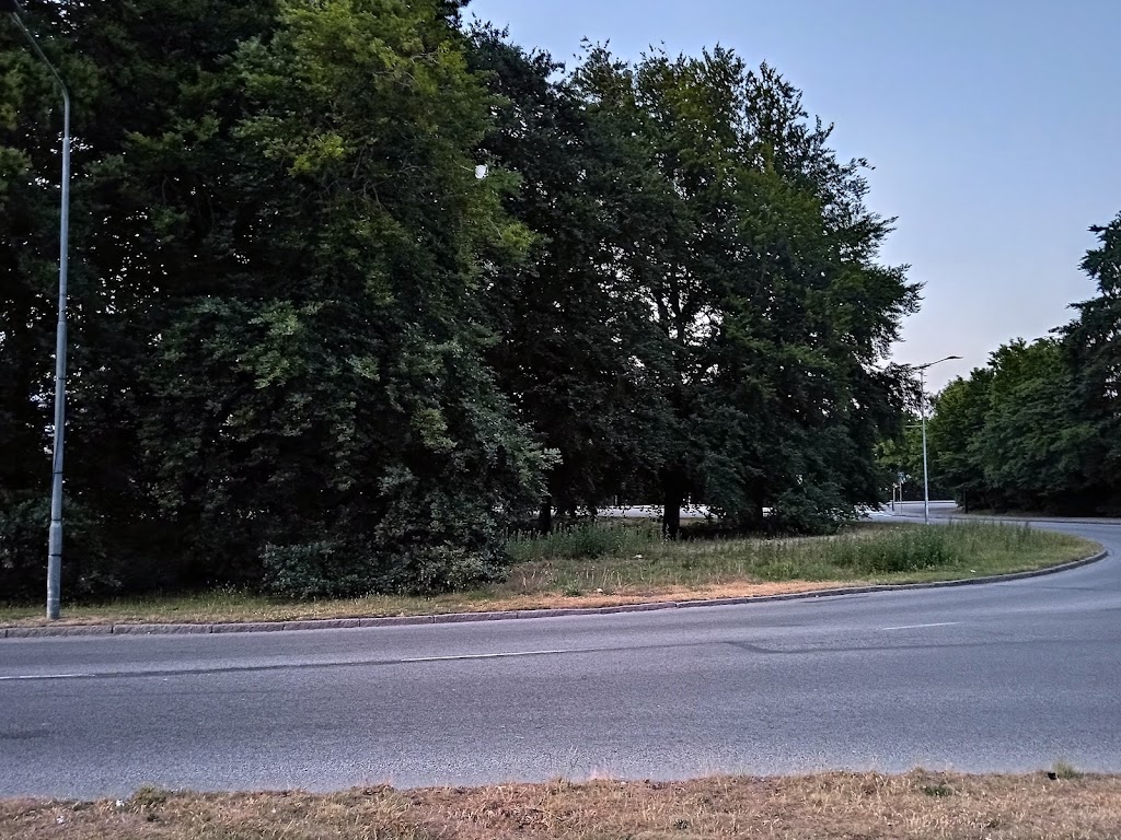 pildammsrondellen-14.jpeg