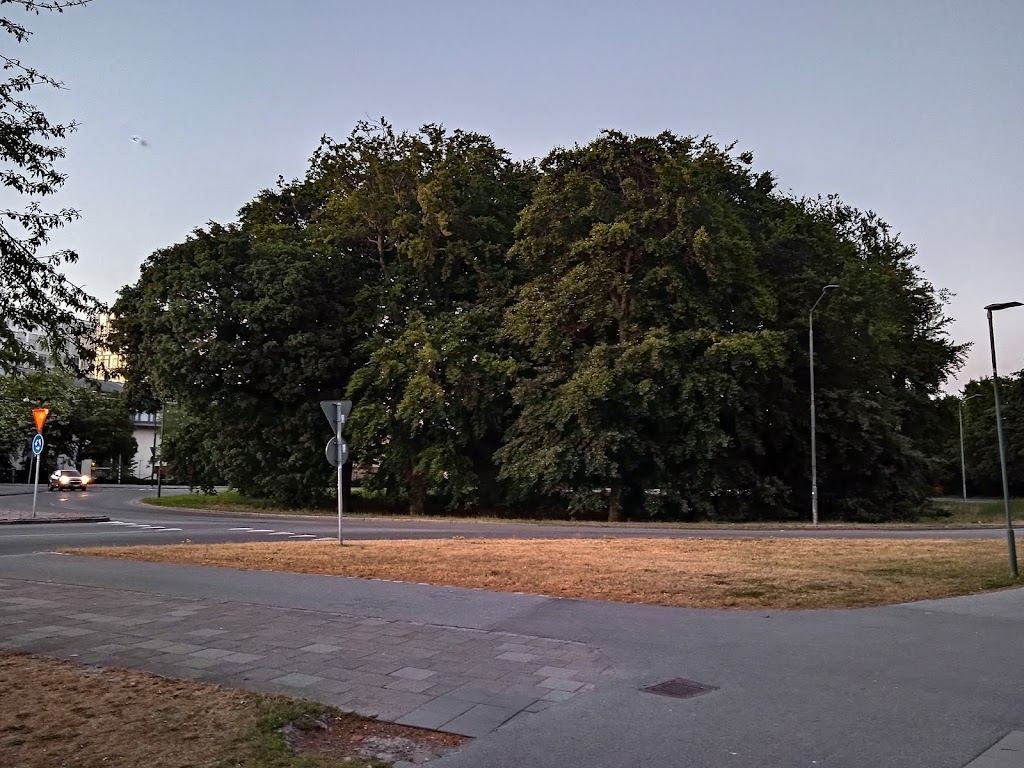 pildammsrondellen-9.jpeg