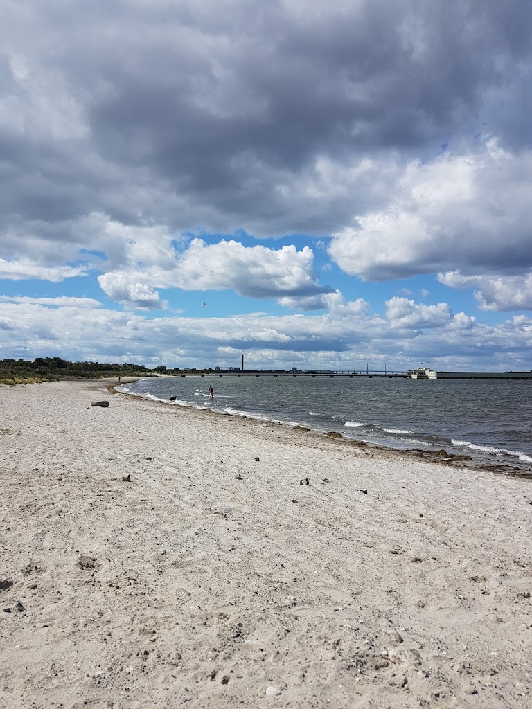 ribersborgs-hundrastplats-10.jpeg