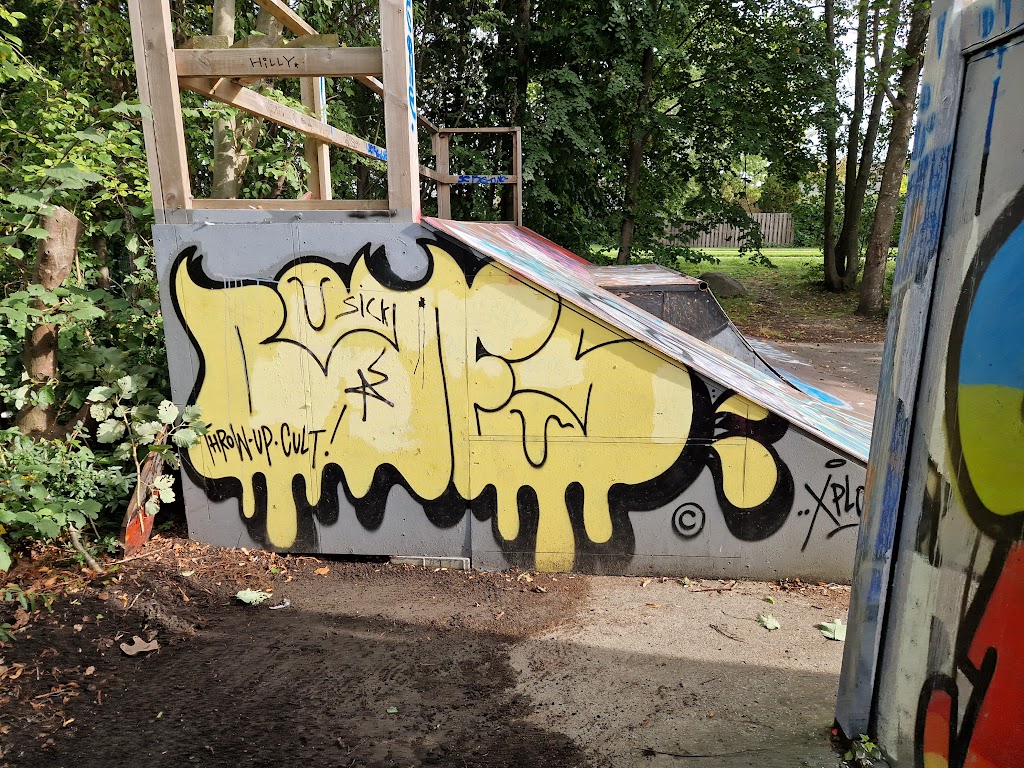 riseberga-skatepark-10.jpeg