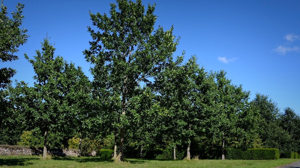 malov-ny-kirkegard-1.jpeg