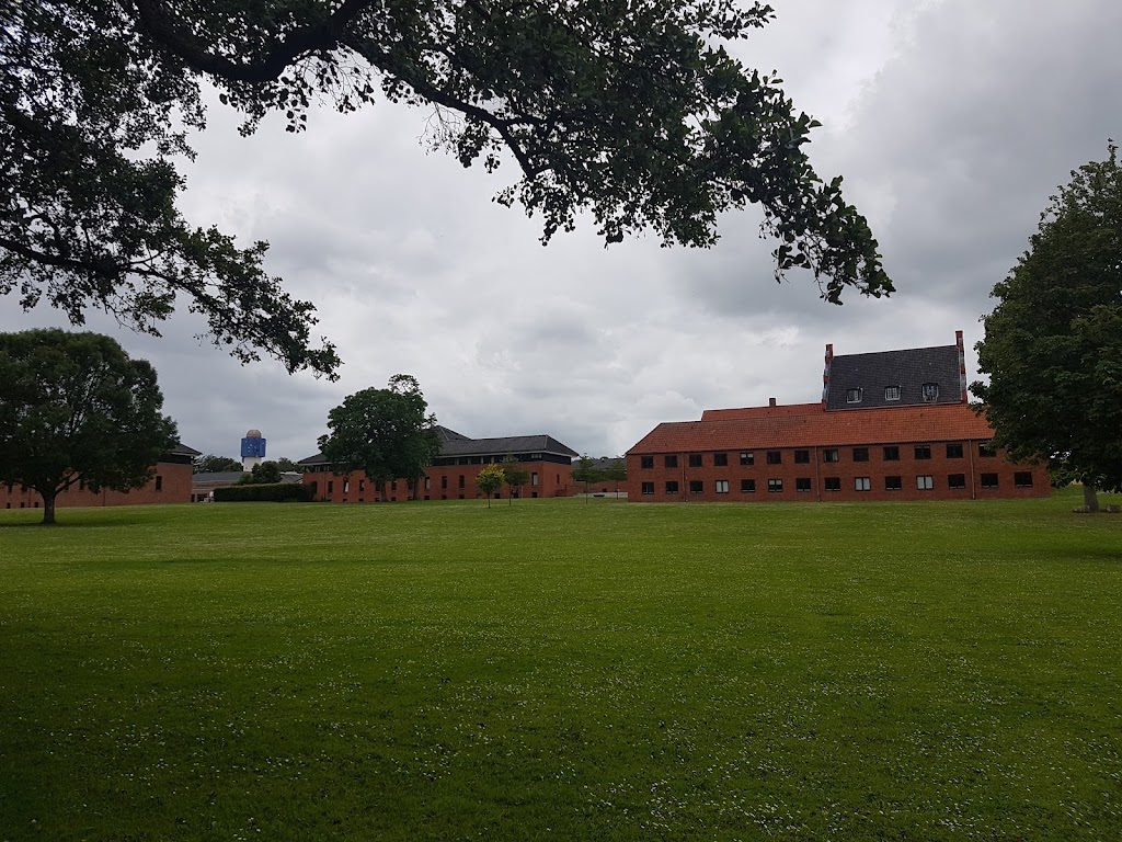herlufsholm-kostskole-herlufsholm-alle-7.jpeg