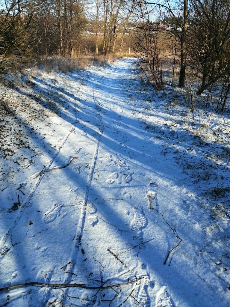 islandshojparken-10.jpeg