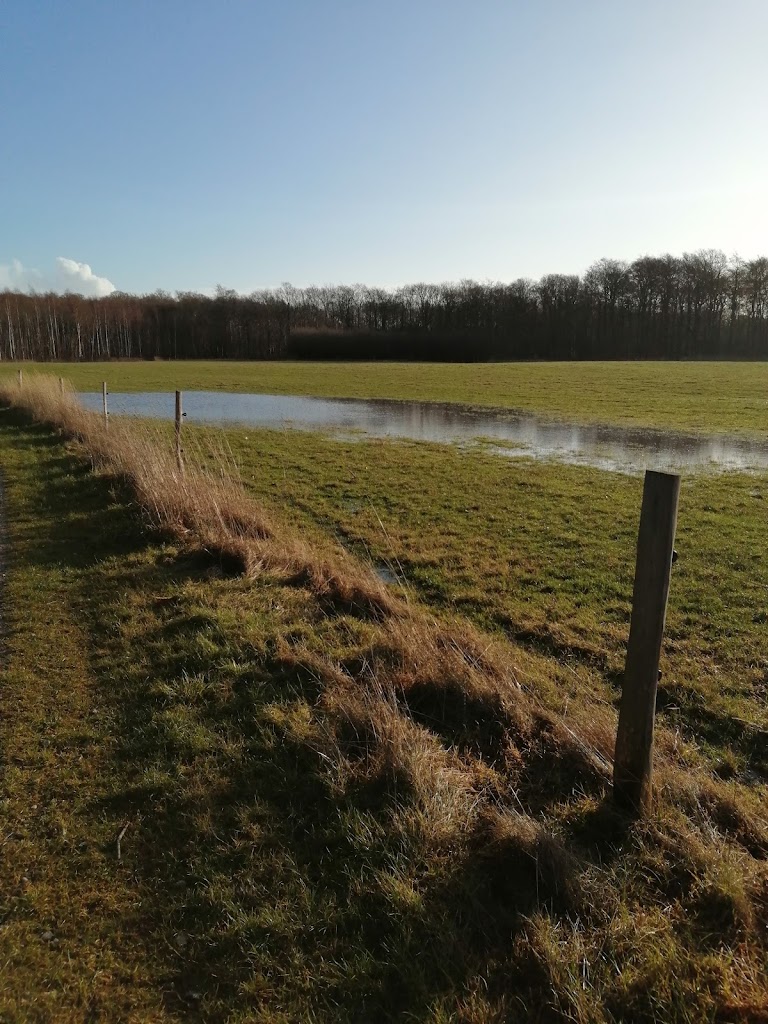 islandshojparken-4.jpeg