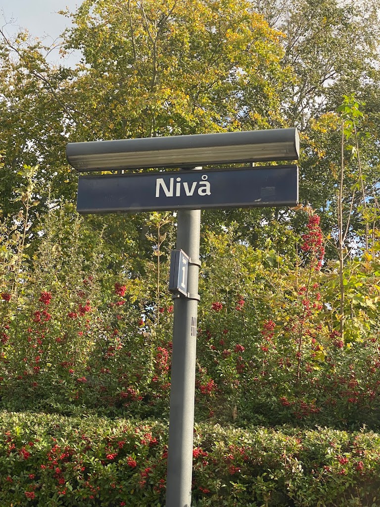 niva-st-10.jpeg