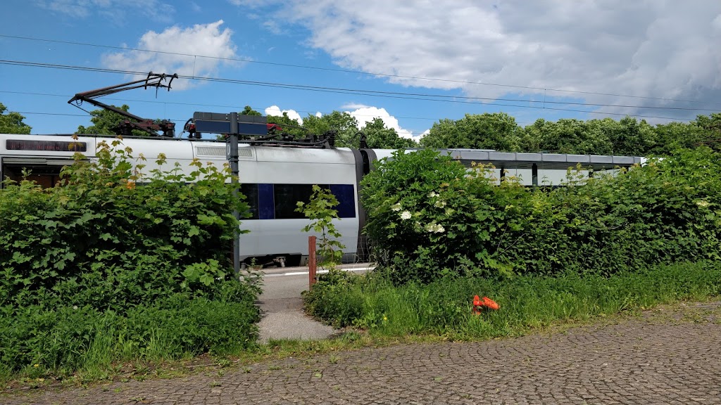 niva-st-16.jpeg