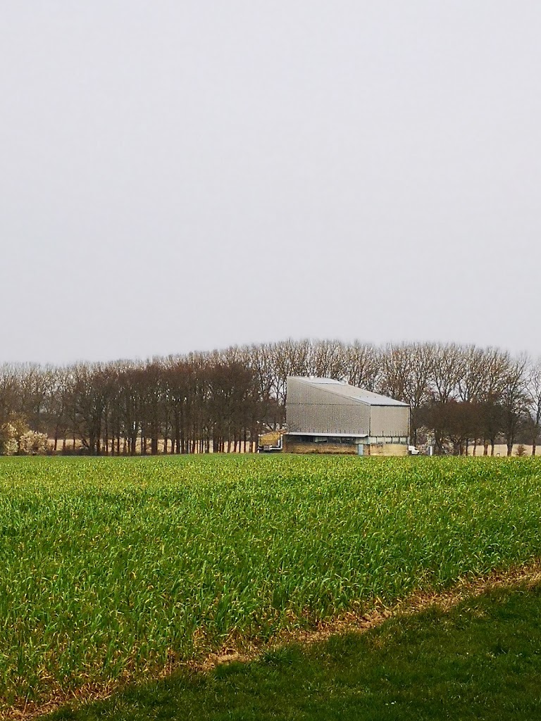 dtu-riso-campus-b778-0.jpeg