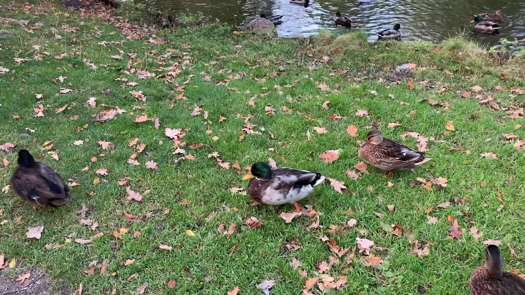 folkeparken-roskilde-11.jpeg