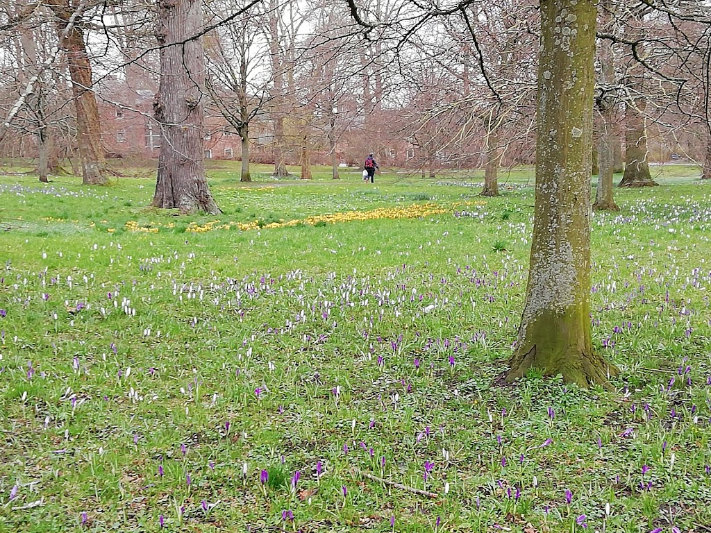 folkeparken-roskilde-3.jpeg
