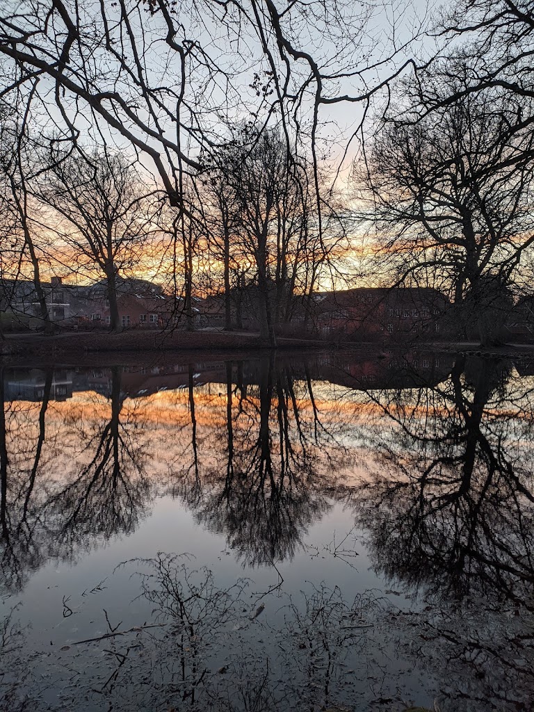 folkeparken-roskilde-5.jpeg