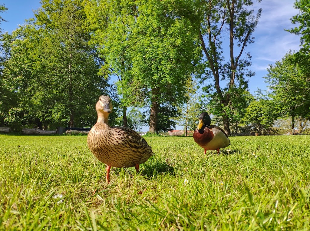folkeparken-roskilde-8.jpeg