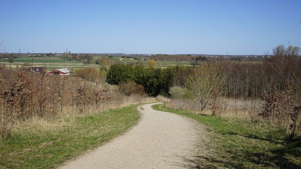 gulddysse-skov-orebjerget-15.jpeg