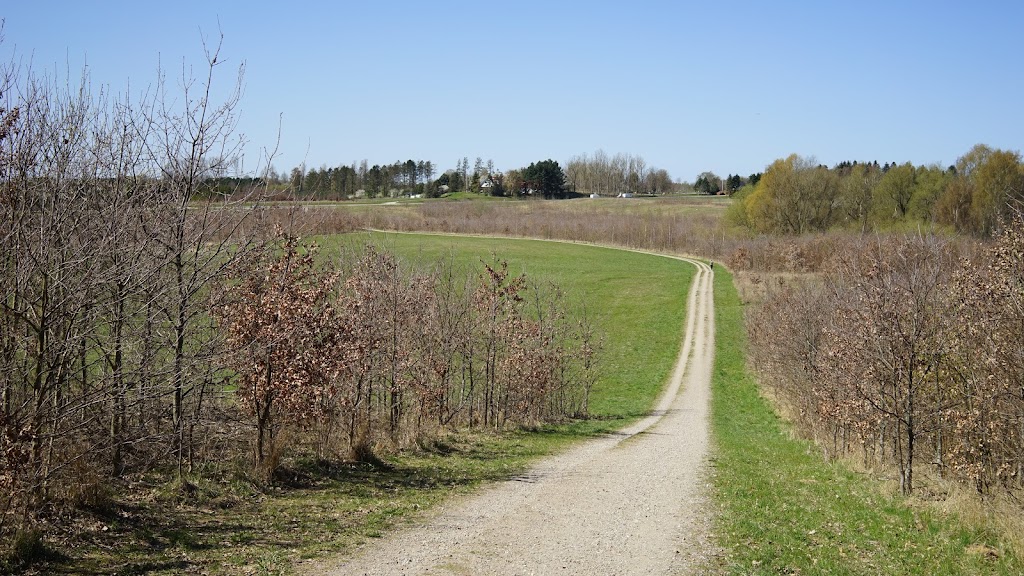 gulddysse-skov-orebjerget-17.jpeg
