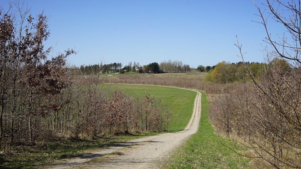 gulddysse-skov-orebjerget-18.jpeg