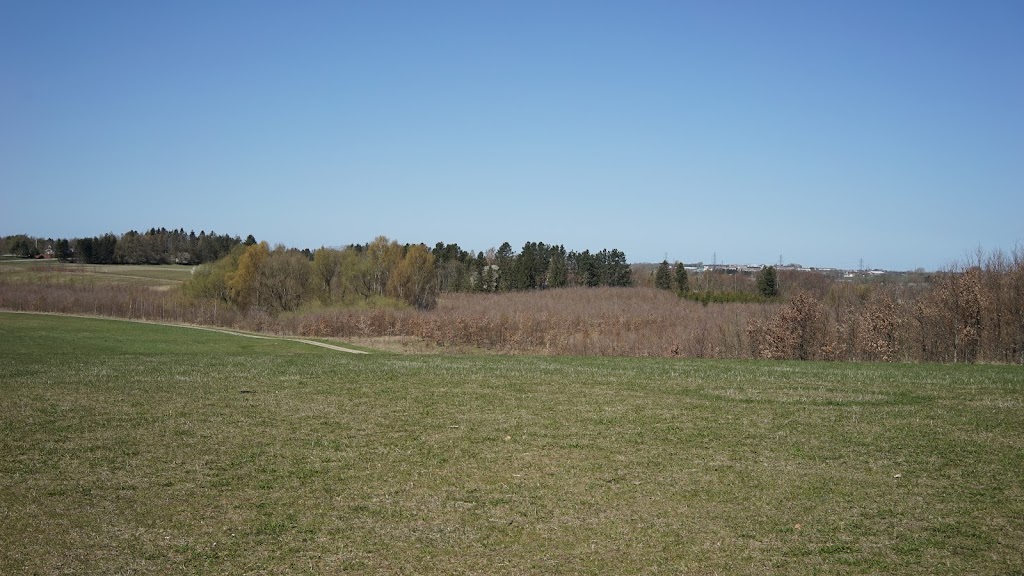 gulddysse-skov-orebjerget-7.jpeg