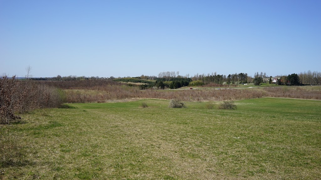 gulddysse-skov-orebjerget-9.jpeg