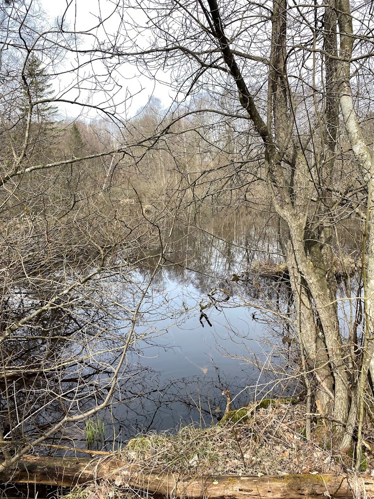 nationalpark-skjoldungernes-land-0.jpeg