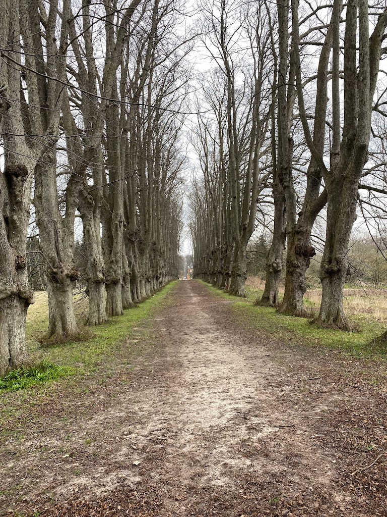 nationalpark-skjoldungernes-land-1.jpeg