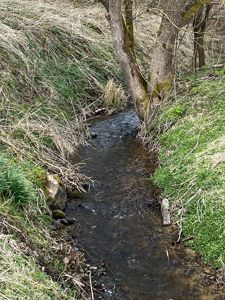 nationalpark-skjoldungernes-land-17.jpeg