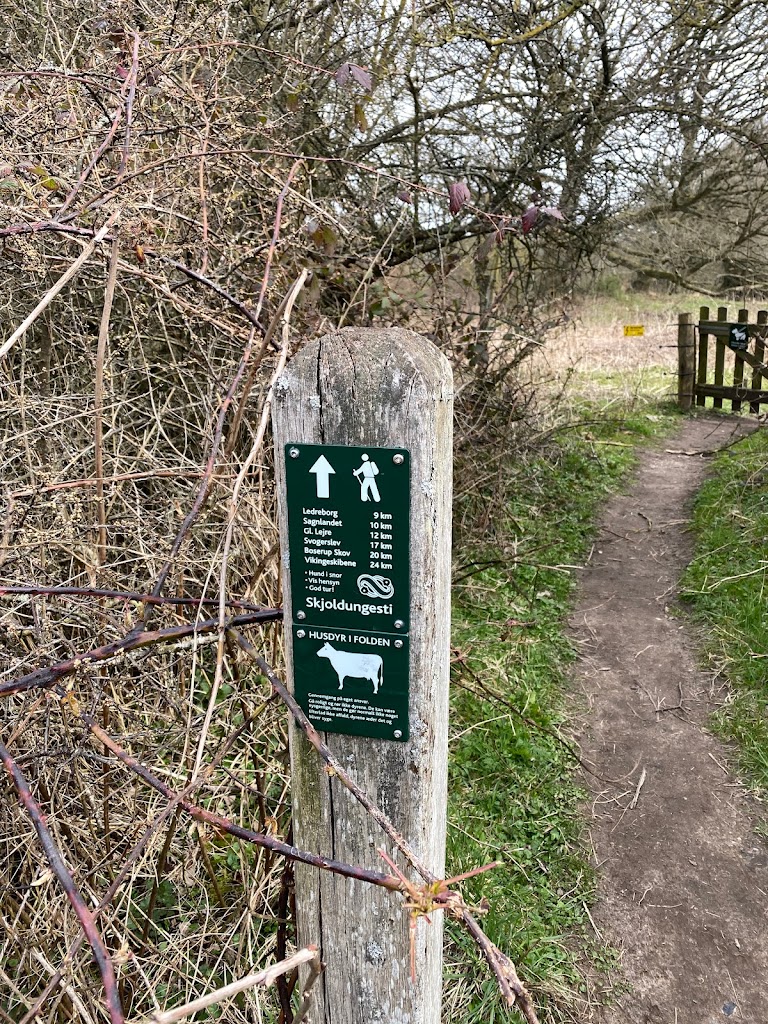 nationalpark-skjoldungernes-land-4.jpeg