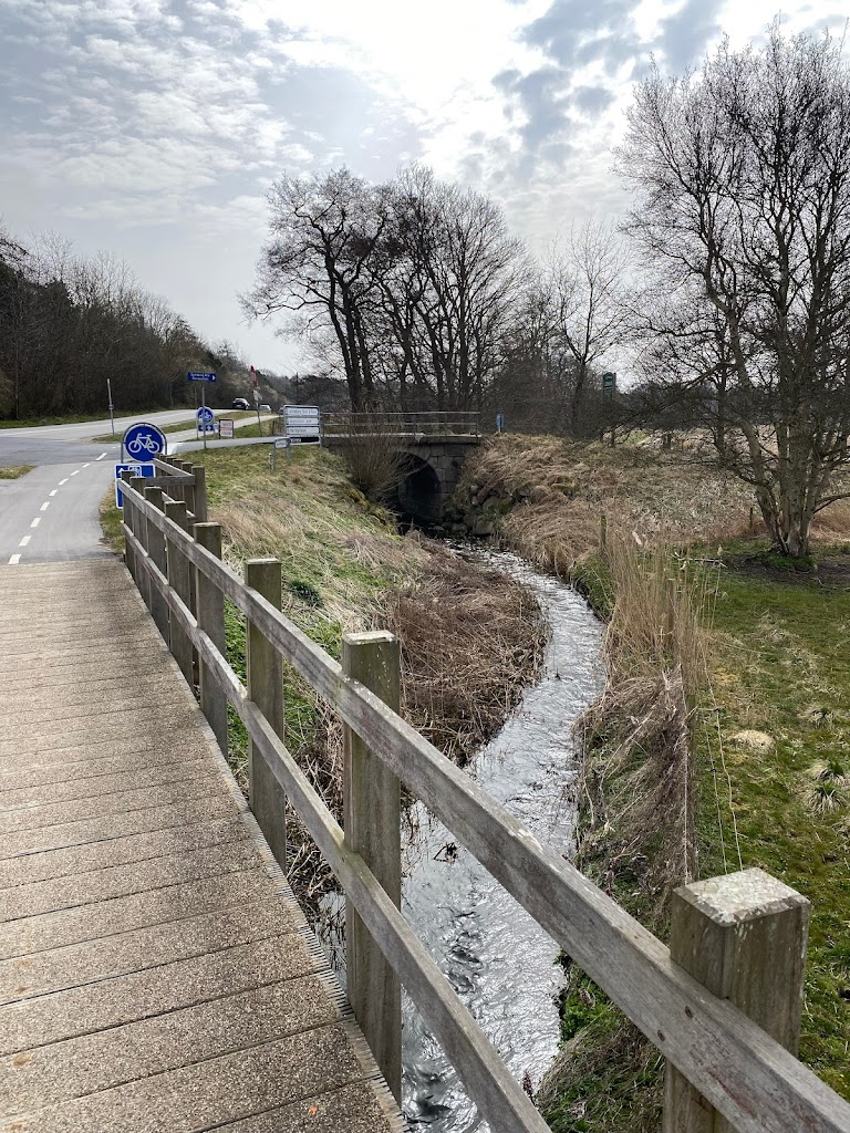 nationalpark-skjoldungernes-land-5.jpeg