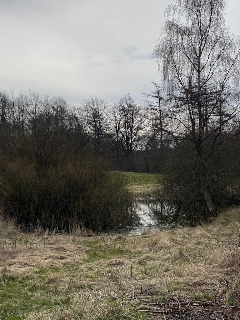 nationalpark-skjoldungernes-land-8.jpeg