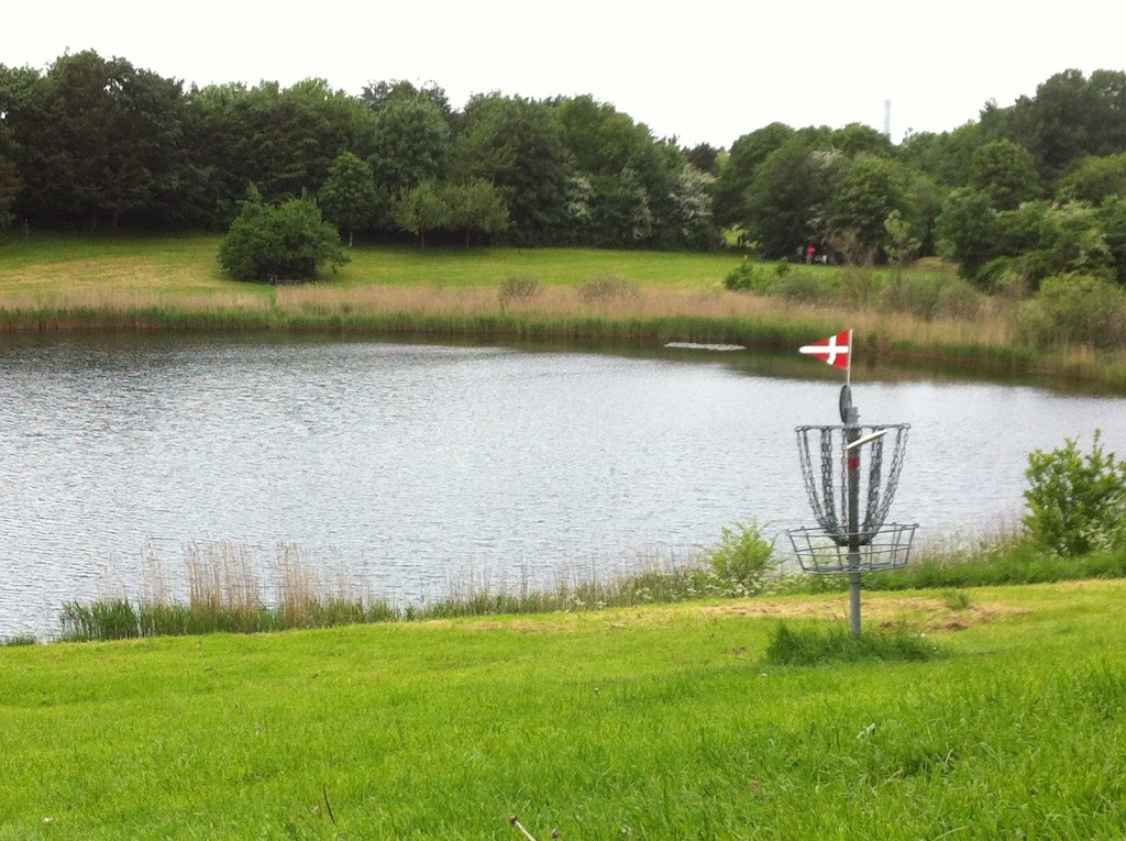 ringparkens-disc-golf-1.jpeg