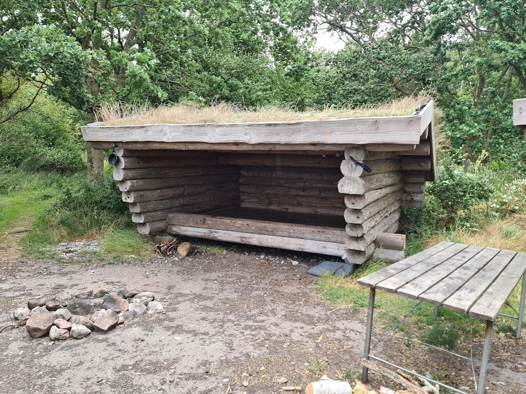 stignaes-skov-shelter-plads-18.jpeg