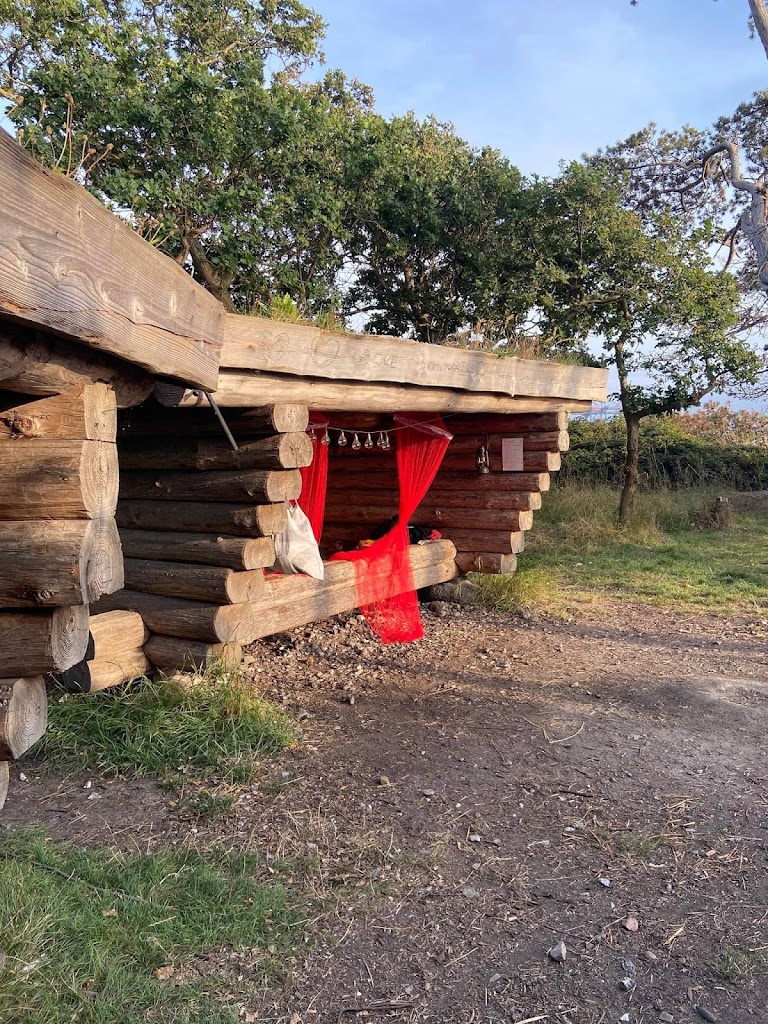 stignaes-skov-shelter-plads-5.jpeg