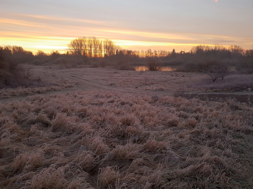 skuldelev-grusgrav-17.jpeg