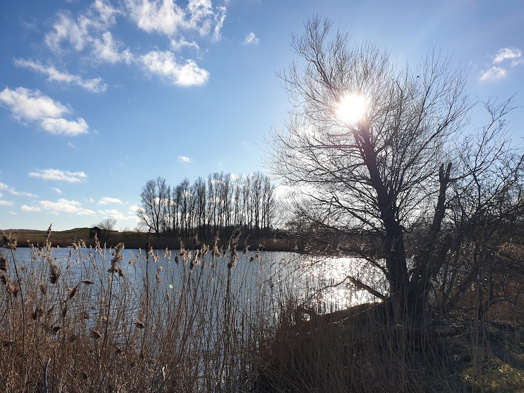 harrestrup-adal-12.jpeg