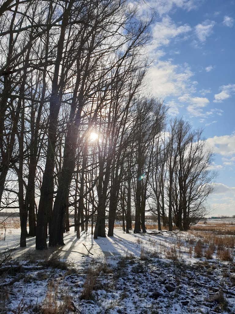 harrestrup-adal-18.jpeg