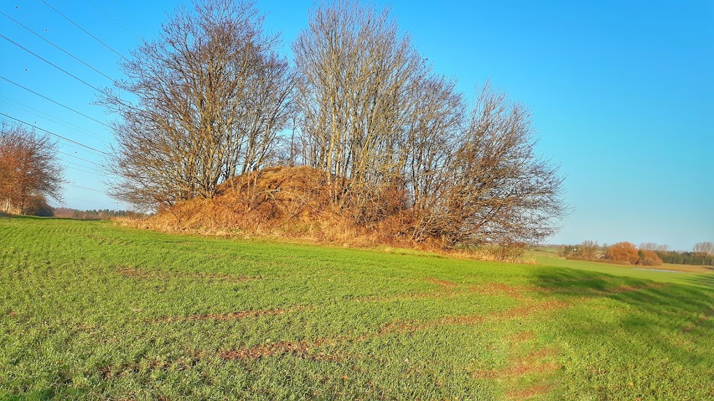 jaettehoj-ved-slangerup-1.jpeg