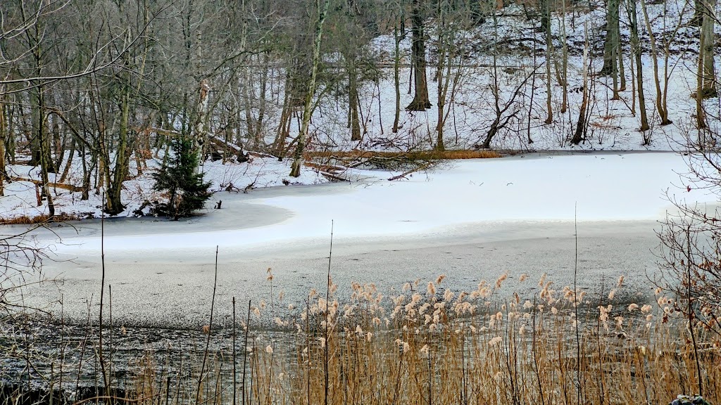 slagslunde-skov-10.jpeg