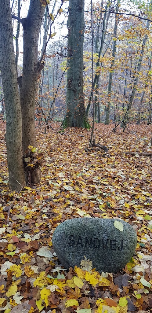 slagslunde-skov-15.jpeg