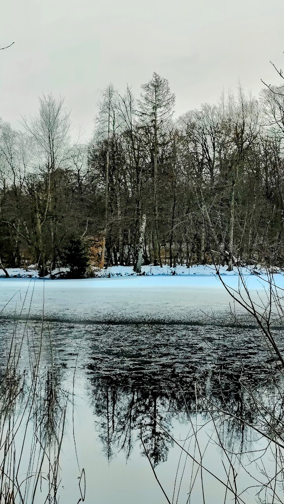 slagslunde-skov-3.jpeg