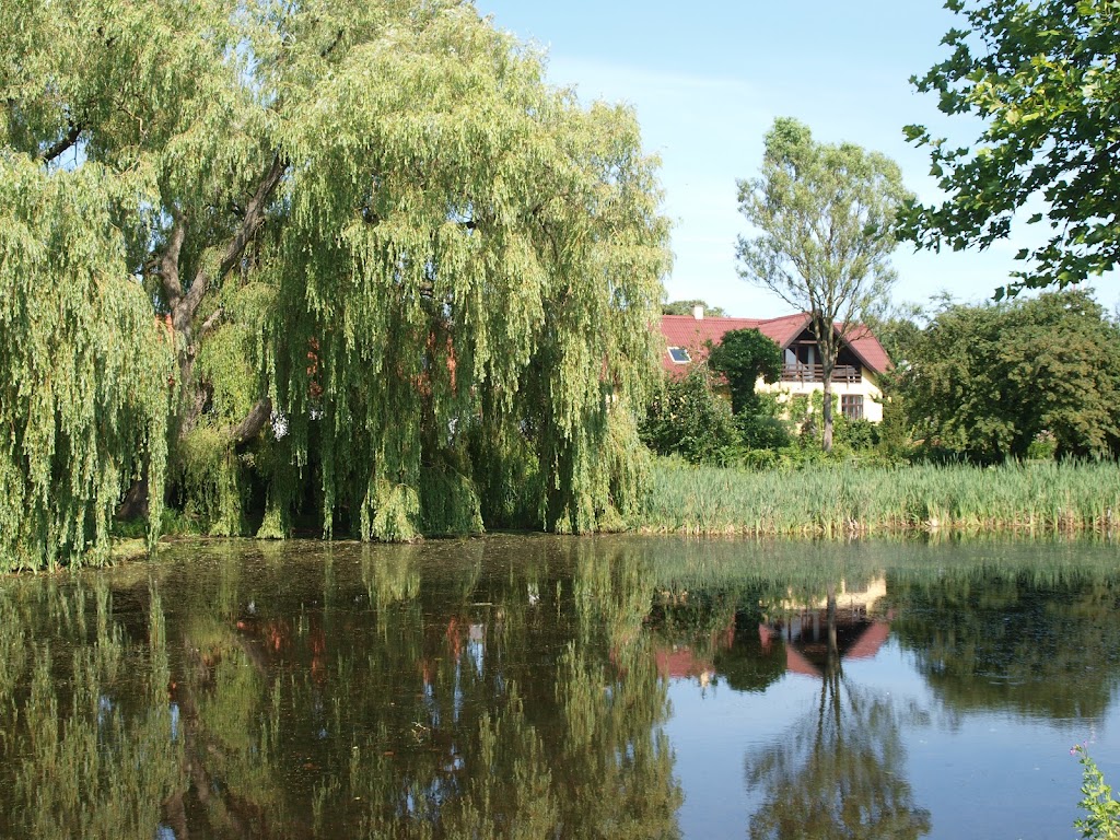 ledoje-gadekaer-4.jpeg