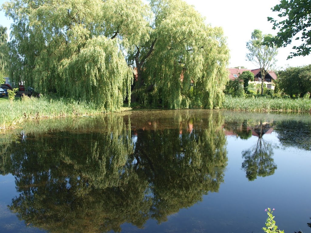 ledoje-gadekaer-7.jpeg