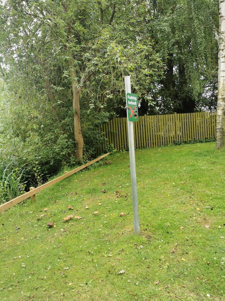 egegardssoen-8.jpeg