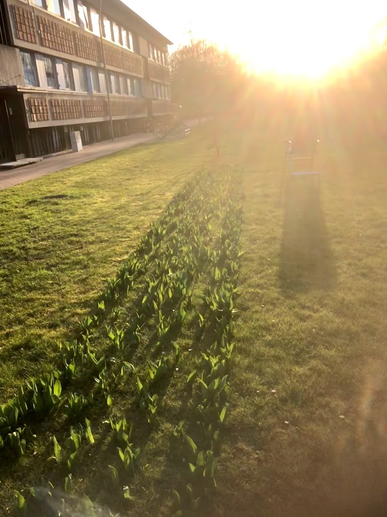 egeparken-15.jpeg