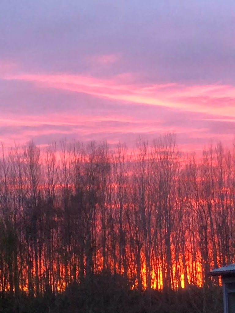 egeparken-2.jpeg