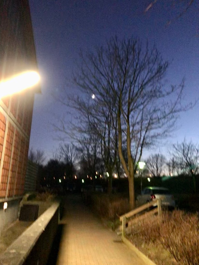 egeparken-3.jpeg
