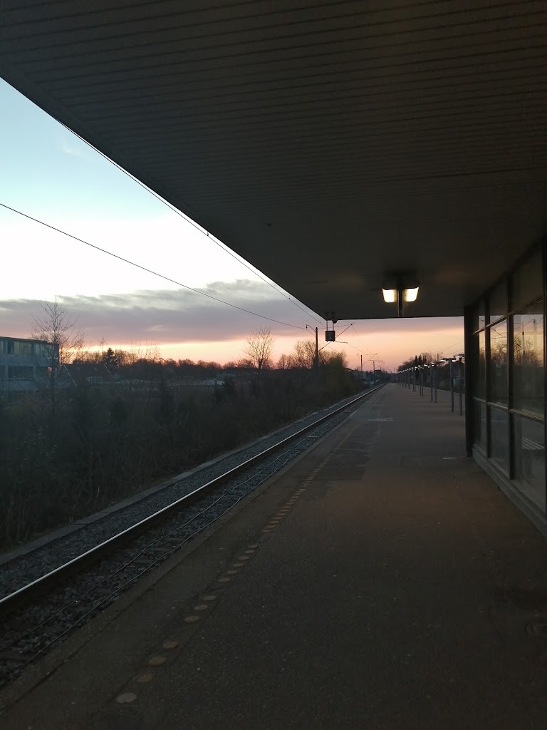 kildebakke-st-3.jpeg