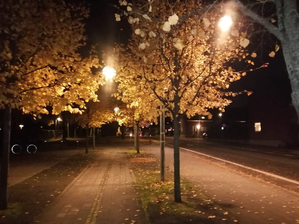 soborg-parkalle-11.jpeg