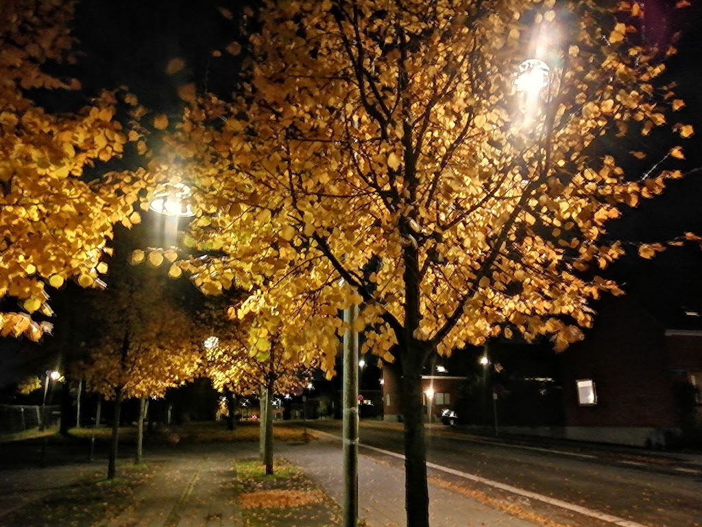 soborg-parkalle-12.jpeg
