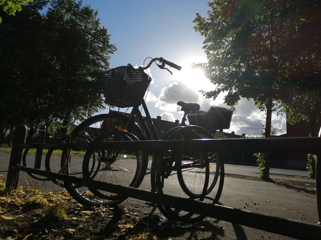 soborg-parkalle-13.jpeg