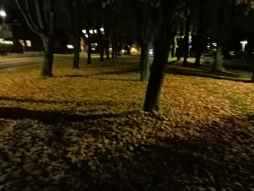 soborg-parkalle-14.jpeg
