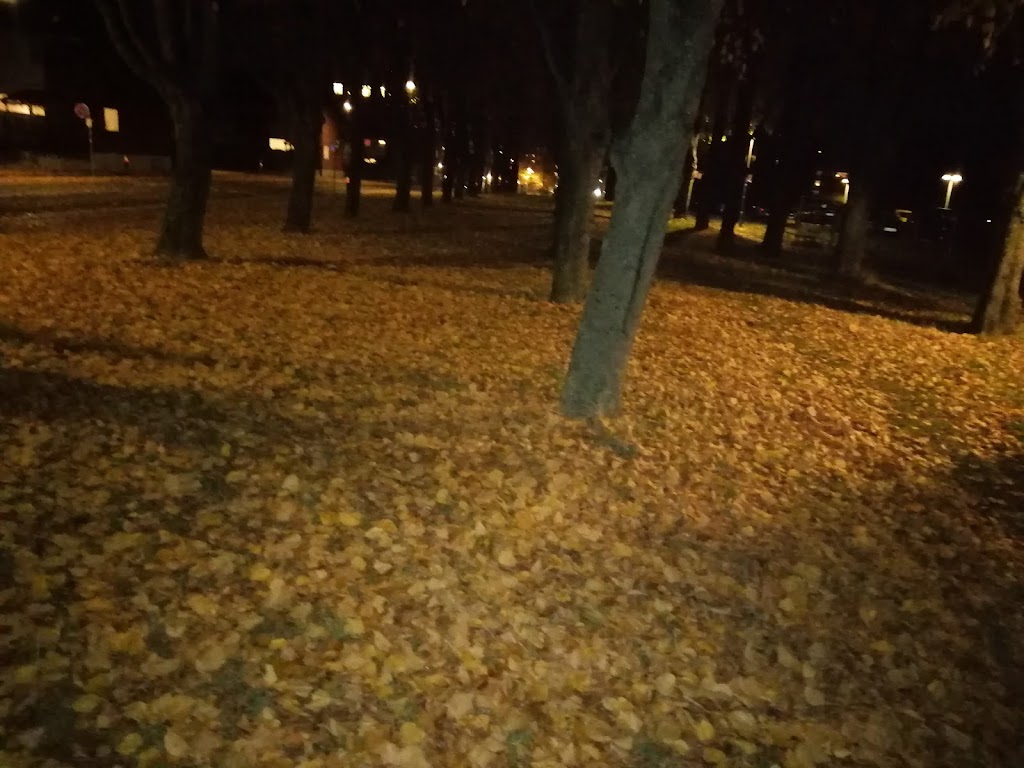 soborg-parkalle-15.jpeg
